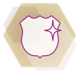 Icon shield protection