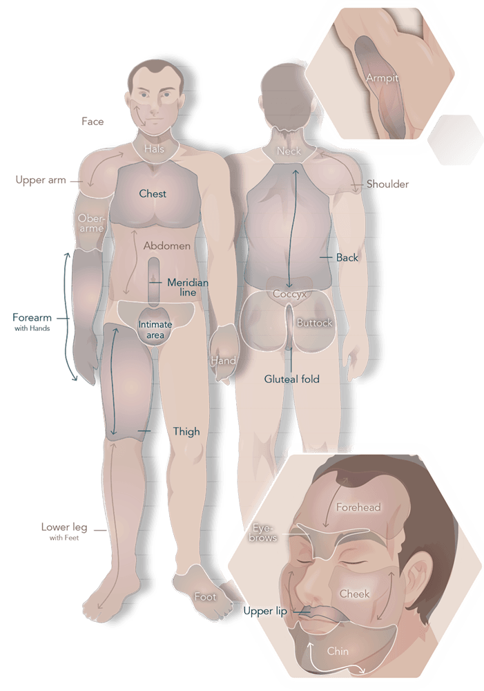 Infographic Man body regions for photoepilation