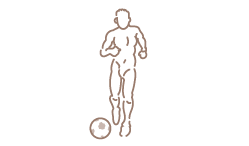 Icon Sport